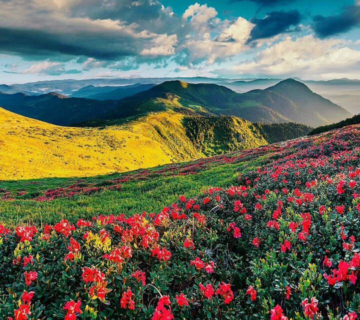 scenery