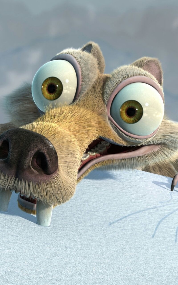 Animal