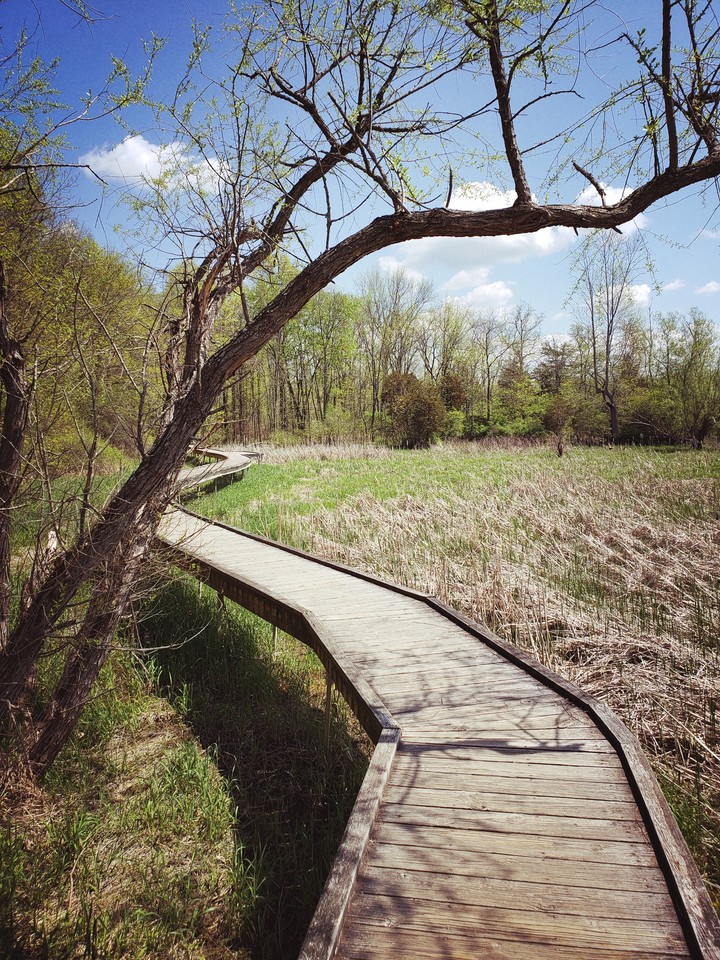 hiking nj