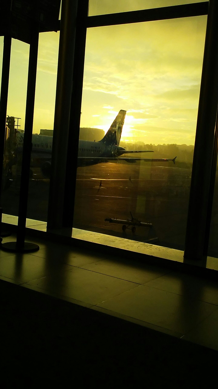 plane at sunrise