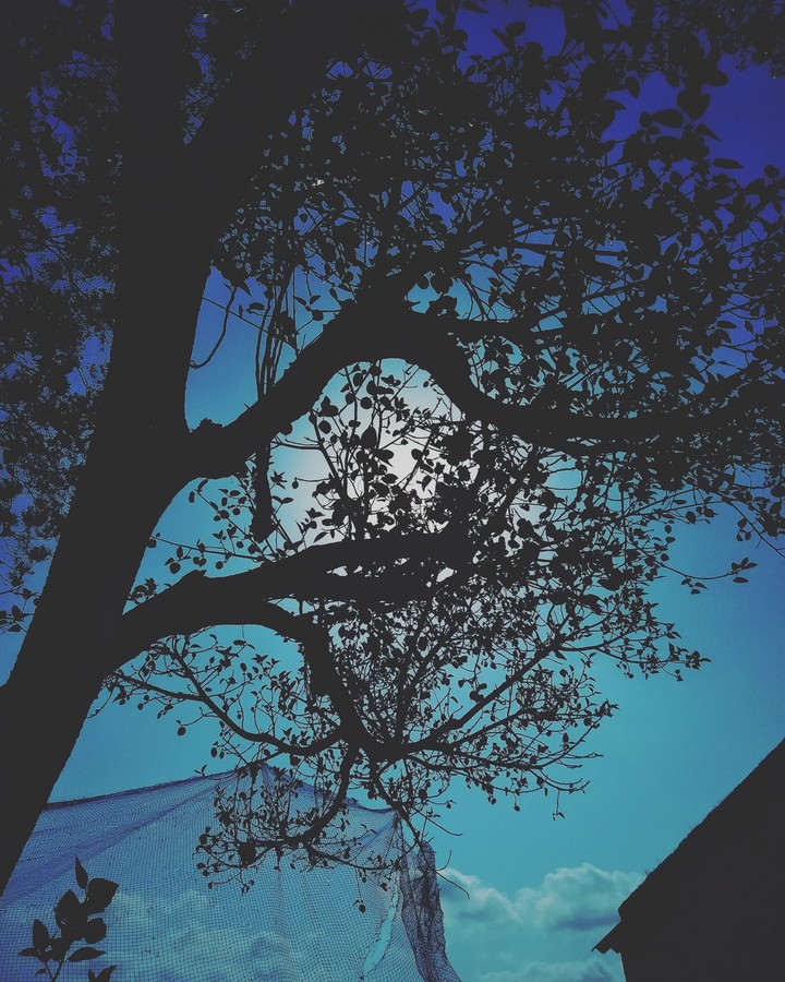 Blue light