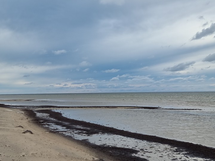 sea