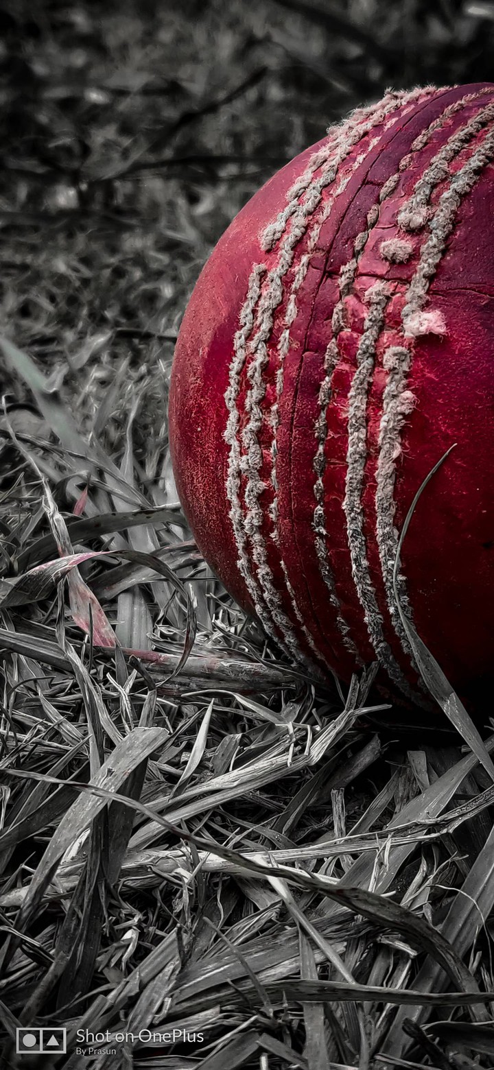 cricket forever