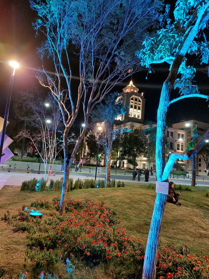paisaje invernal macro plaza Monterrey México