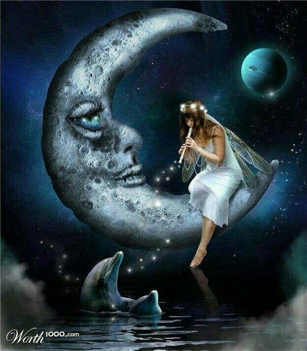 Fairy