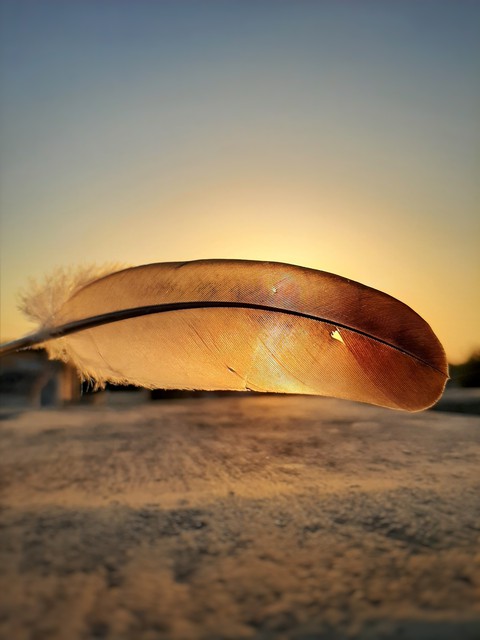light feather