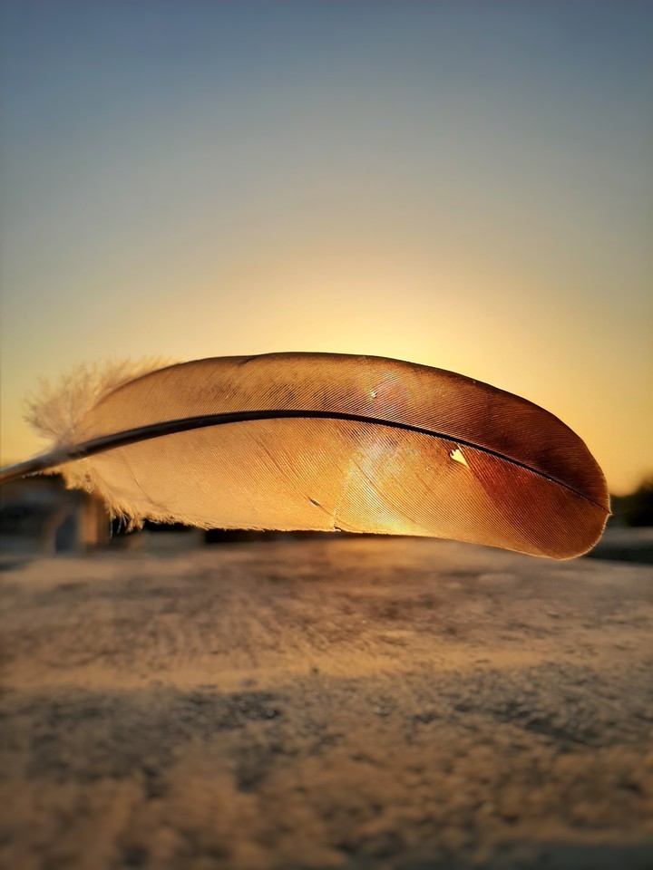 light feather