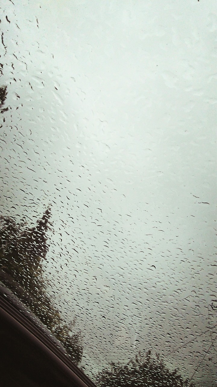 Rain