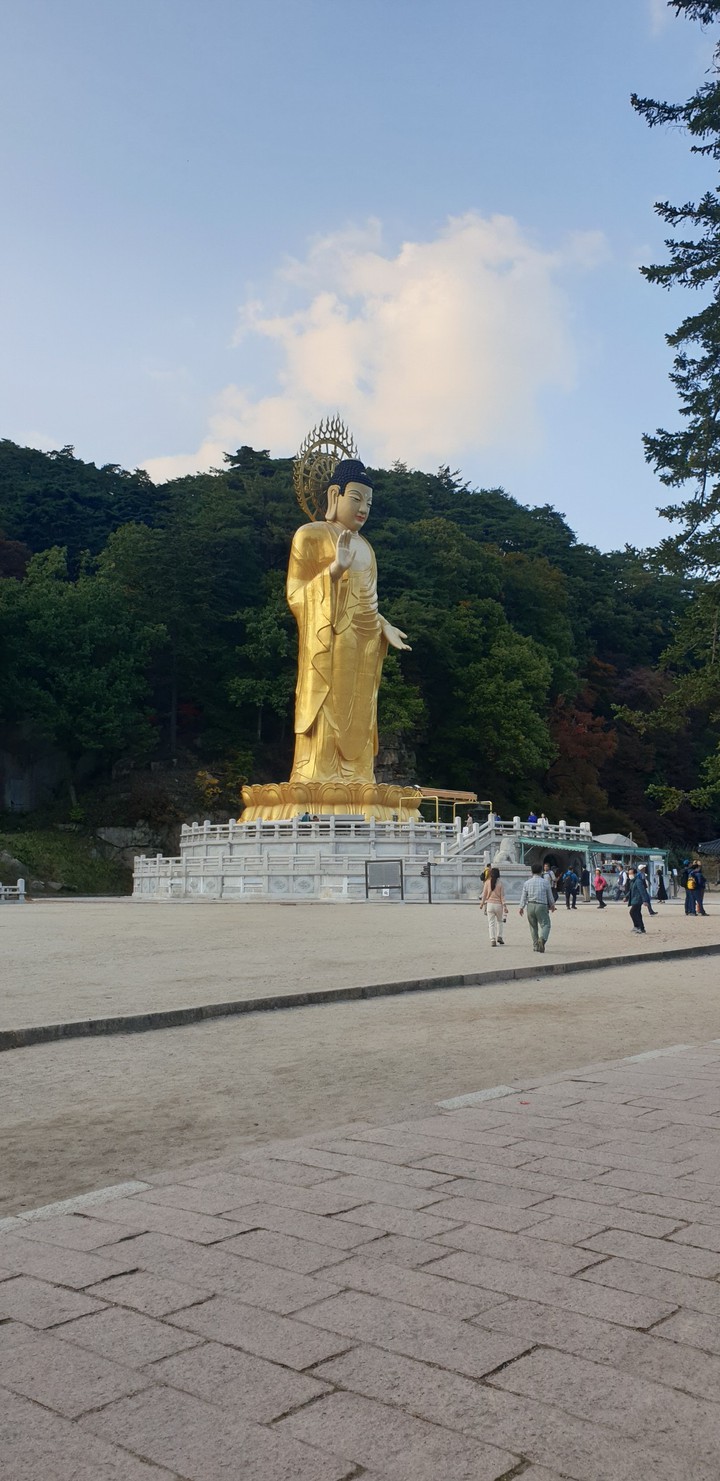 절,부처님