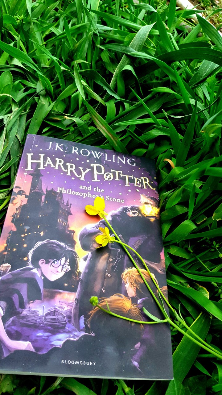 Harry Potter time