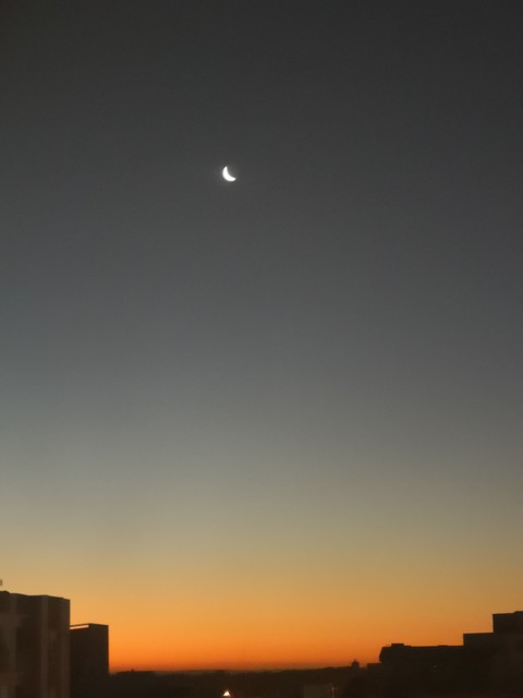 moonlighting ?