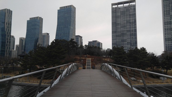 도시의 가운데서