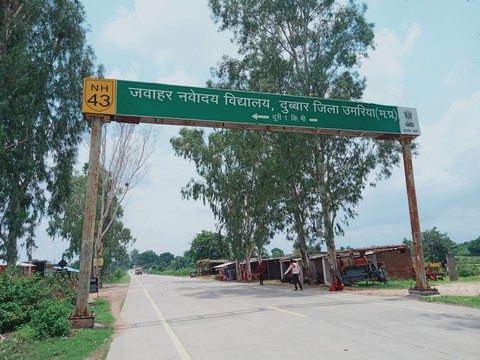 The Road to School....