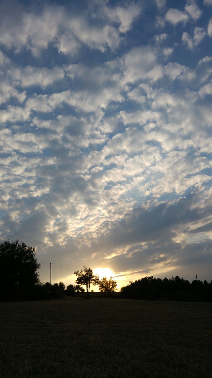 sun