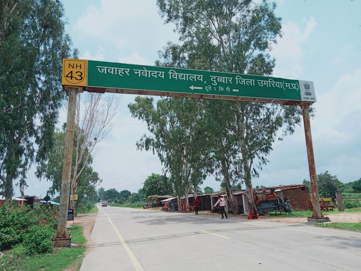 The Road to School....
