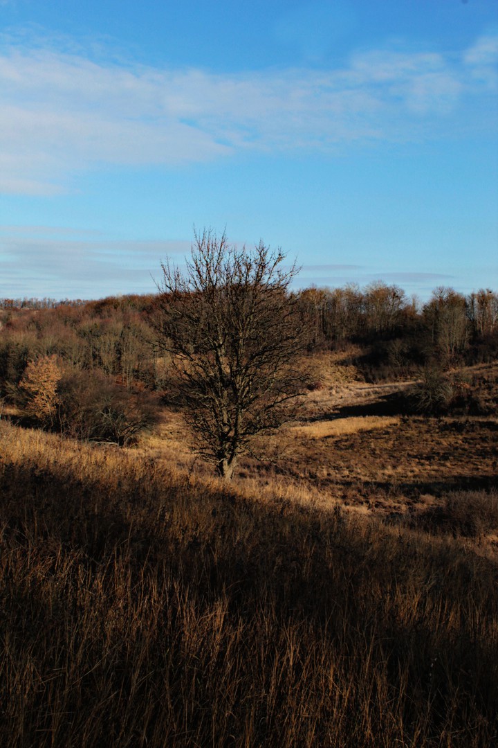 Autumn