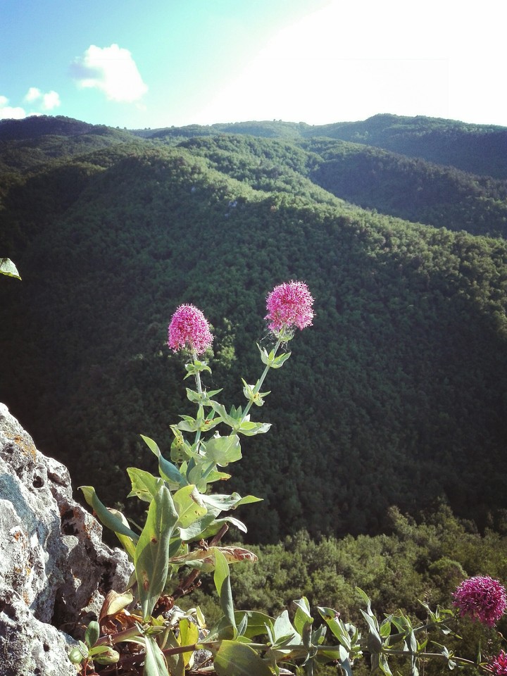 Nature