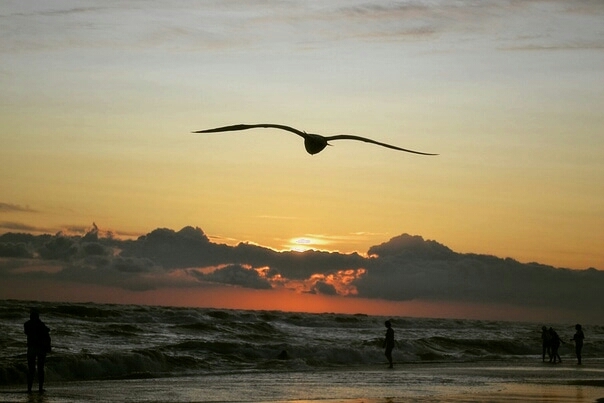sea