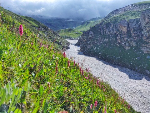 somewhere in Himalayas