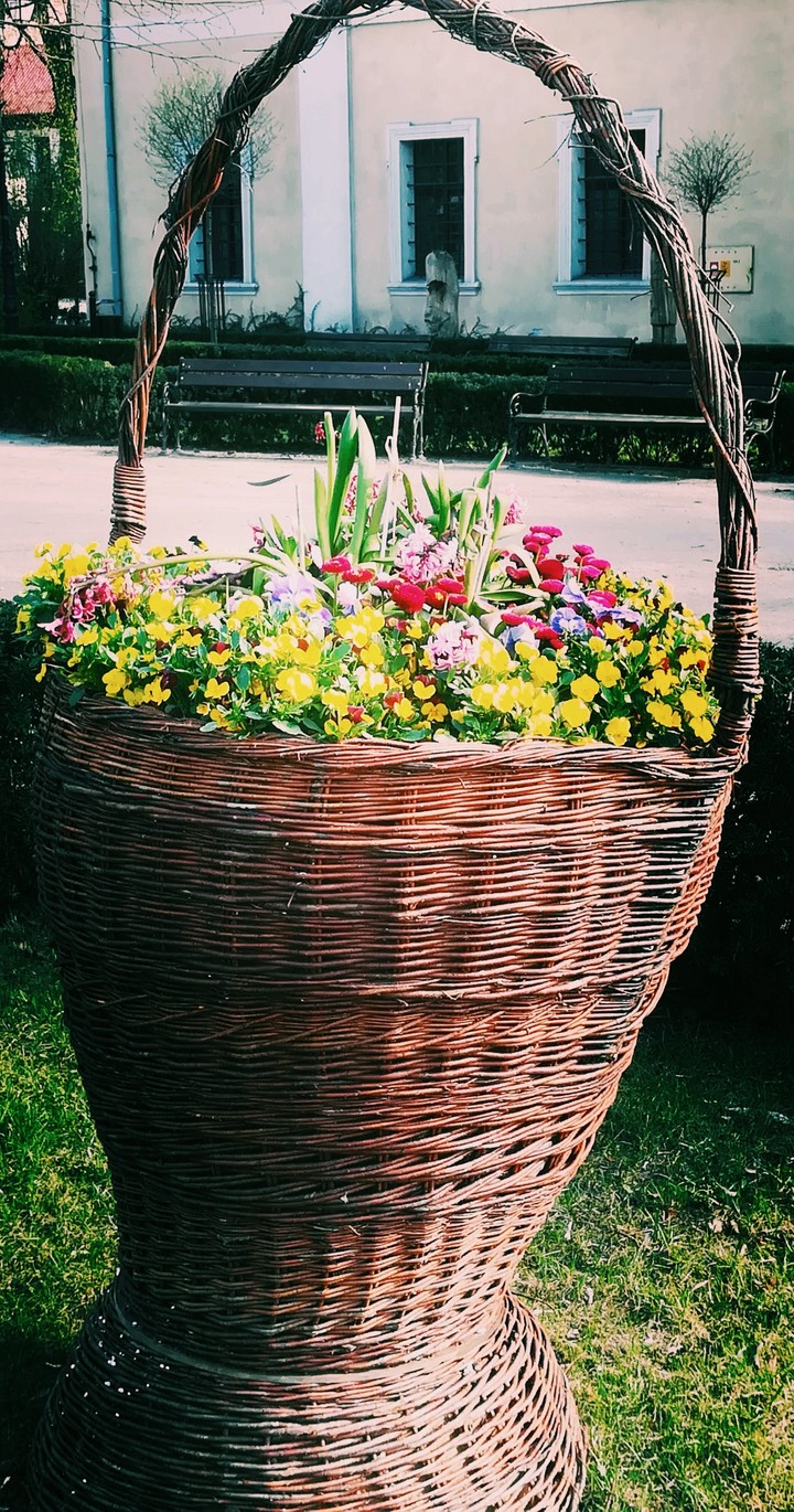 kosz kwiatów
