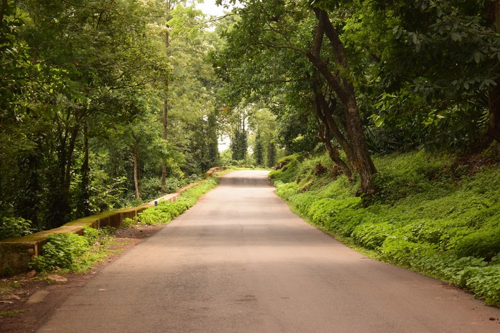 Follow the path