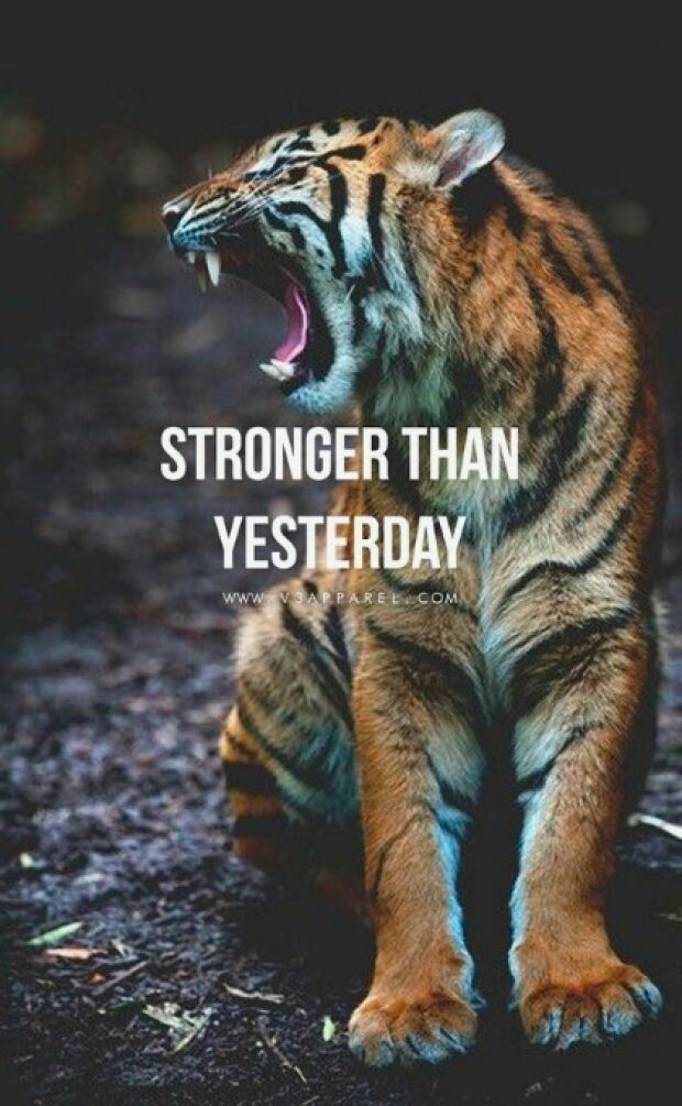 motivation