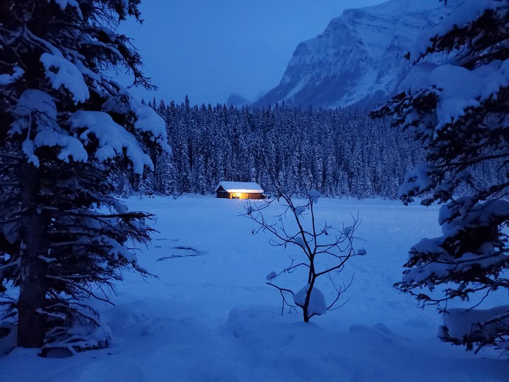 Winter Wonderland