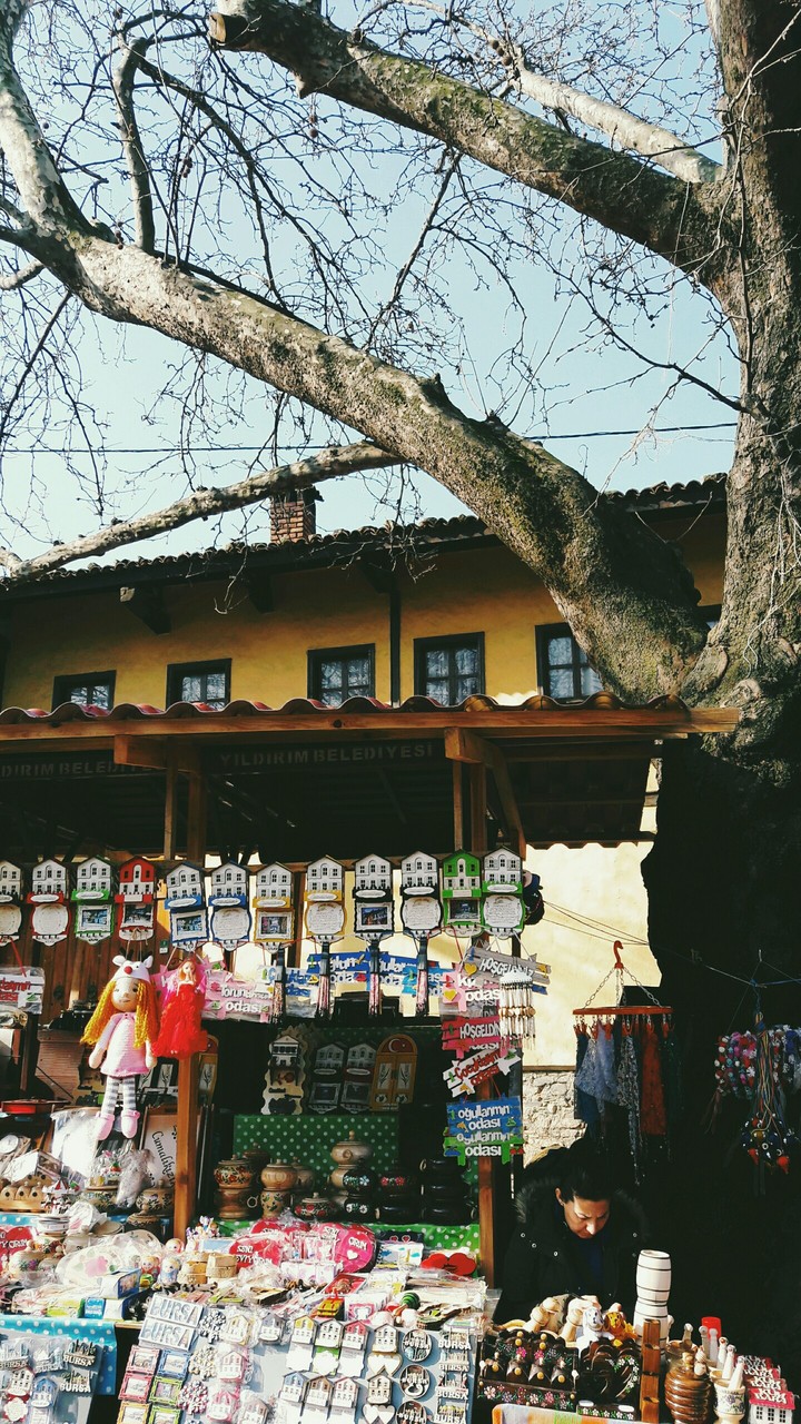 Bursa/Cumalıkızık