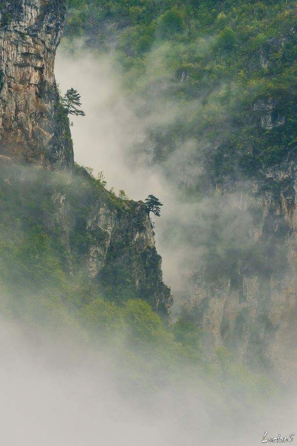 Romania