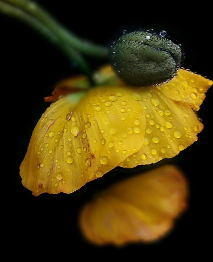 beautiful