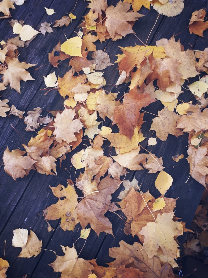 Autumn
