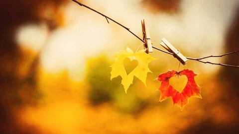 automne