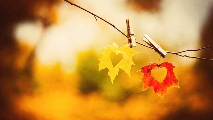 automne