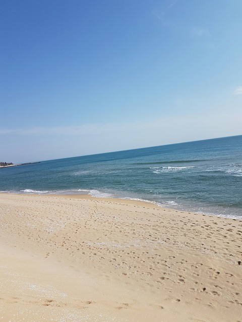 beach