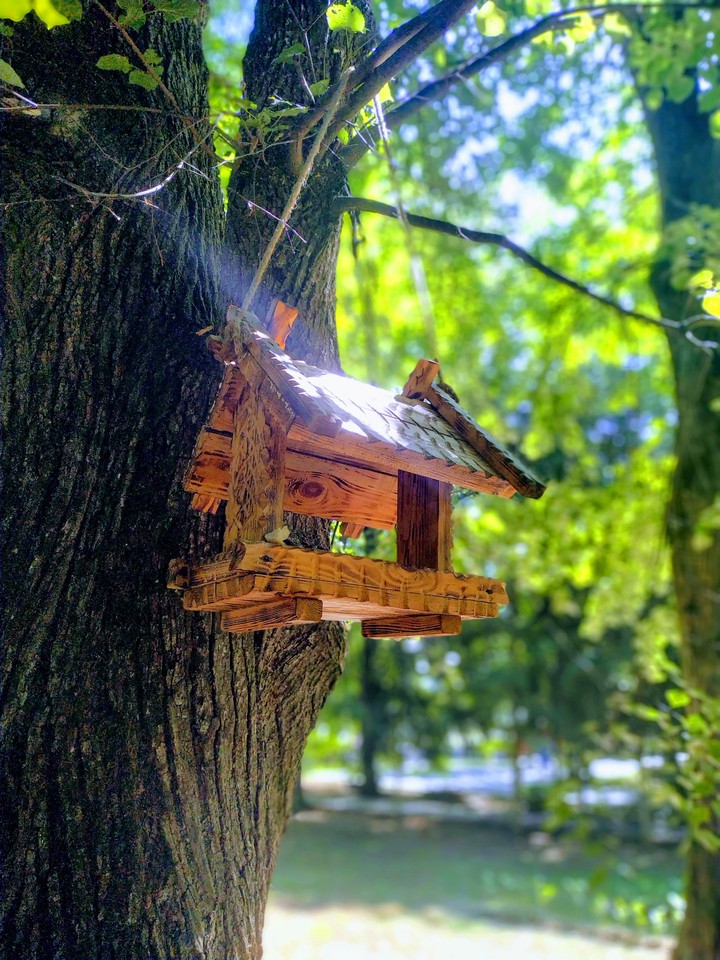 Nature
