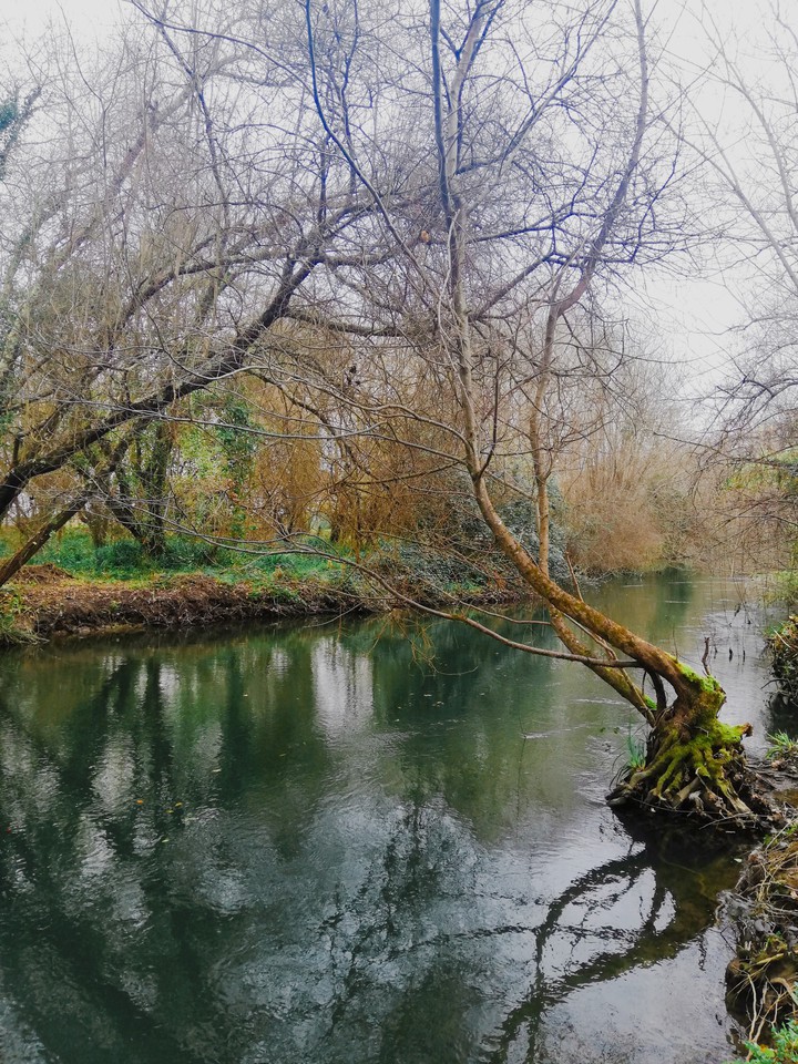 nature