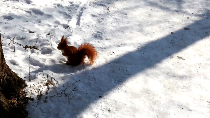 Winter