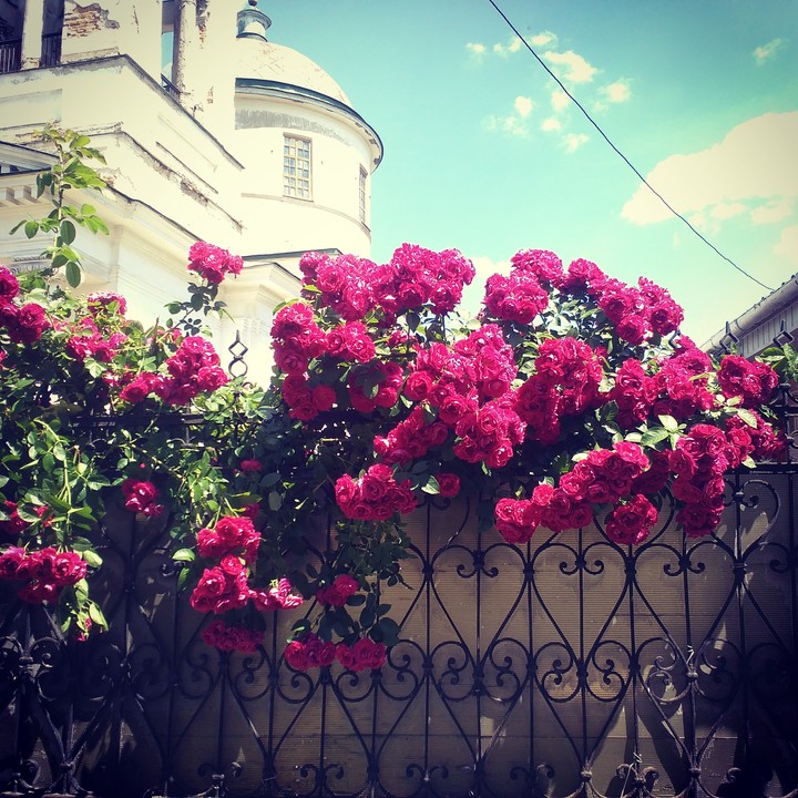 красива картинка