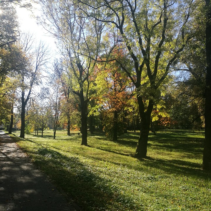 Herbstzauber