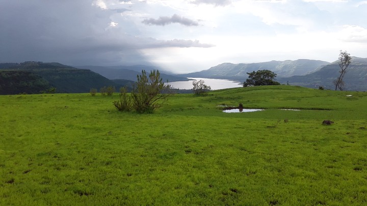 Scenery and Tranquillity.
