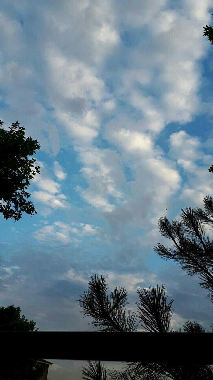 ⚘