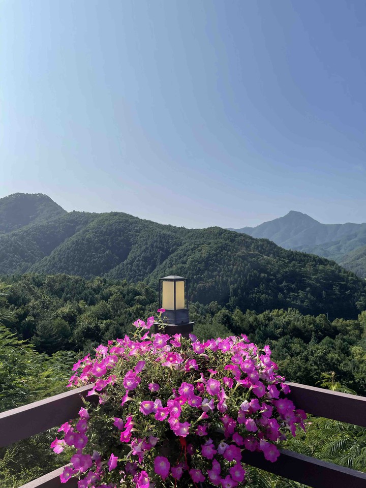 Korea