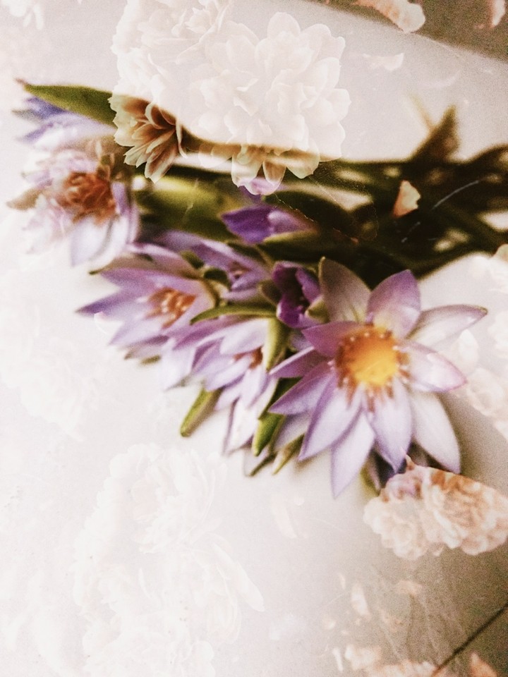 flowers