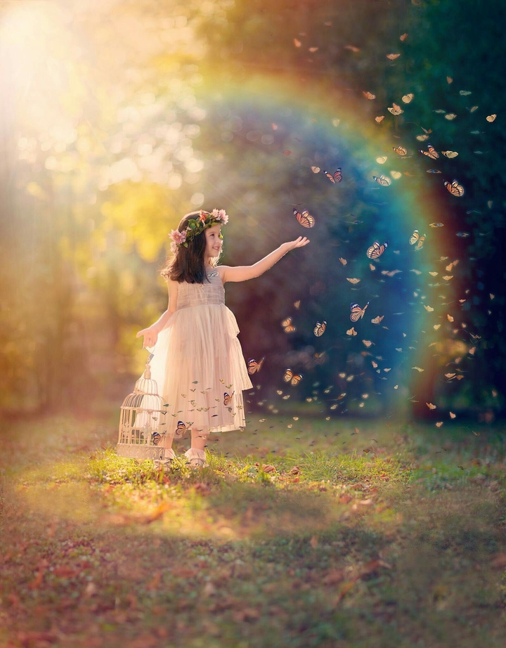 butterfly princess