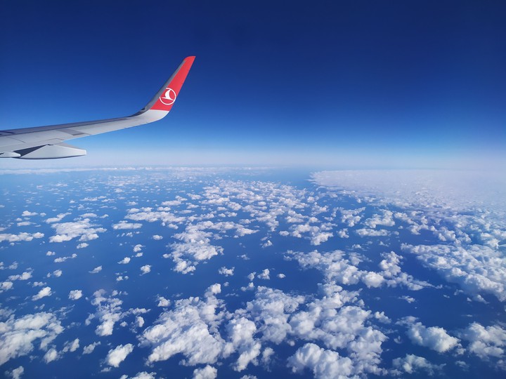 fly