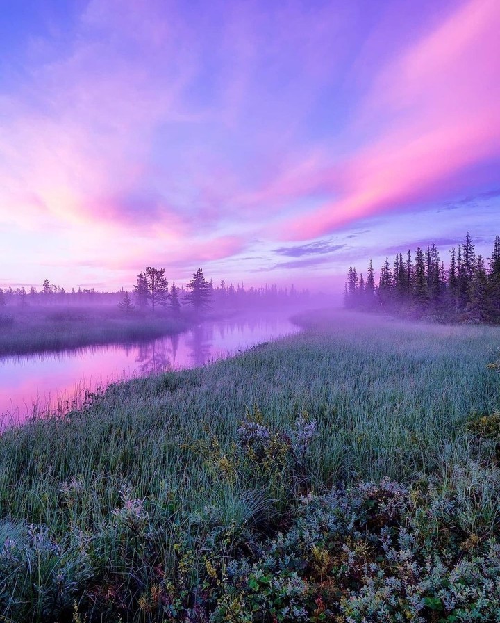 river,fog,grass...