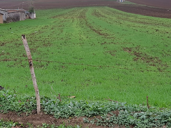 village
