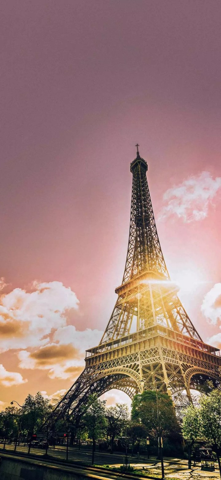Pink Paris