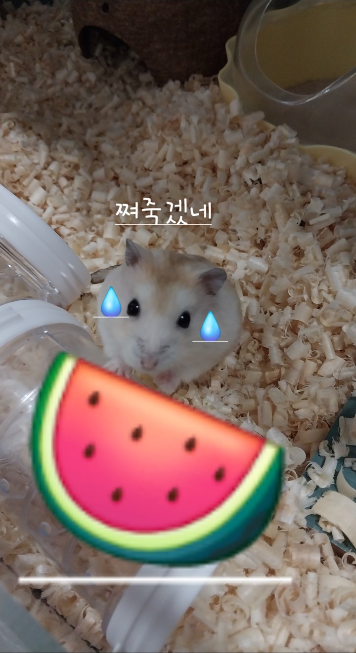 .
