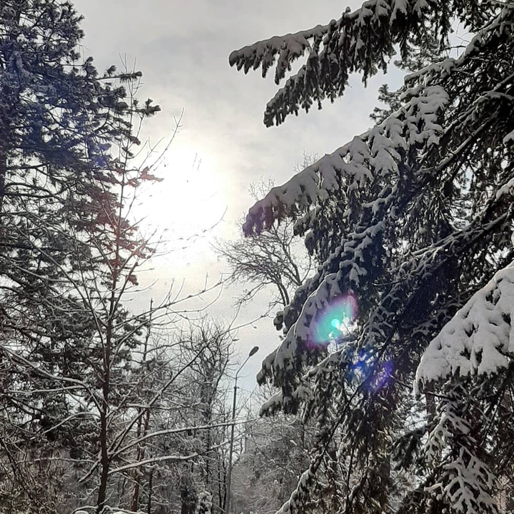 зима